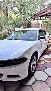 جارجر SXT • ٢٠١٦ • وارد كندي