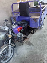 ستوته جمره • موديل2019 • أوراق أصلية