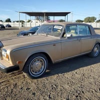 روز رايز • ١٩٧٩ • السليمانية