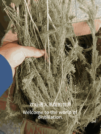 معرض السماح كراده شارع المسبح *********** وتساب. جهاز تقطير ١٥ لتر
