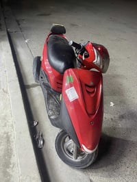 ببغاء نوزل مكفوله  سعر 950  مكان بلديات  07735856171