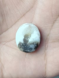 سليماني • ابيض • عيون رصاصي