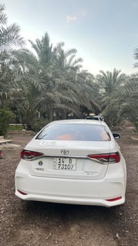 كورولا هايبرد • ٢٠٢٥ • رقم البصرة