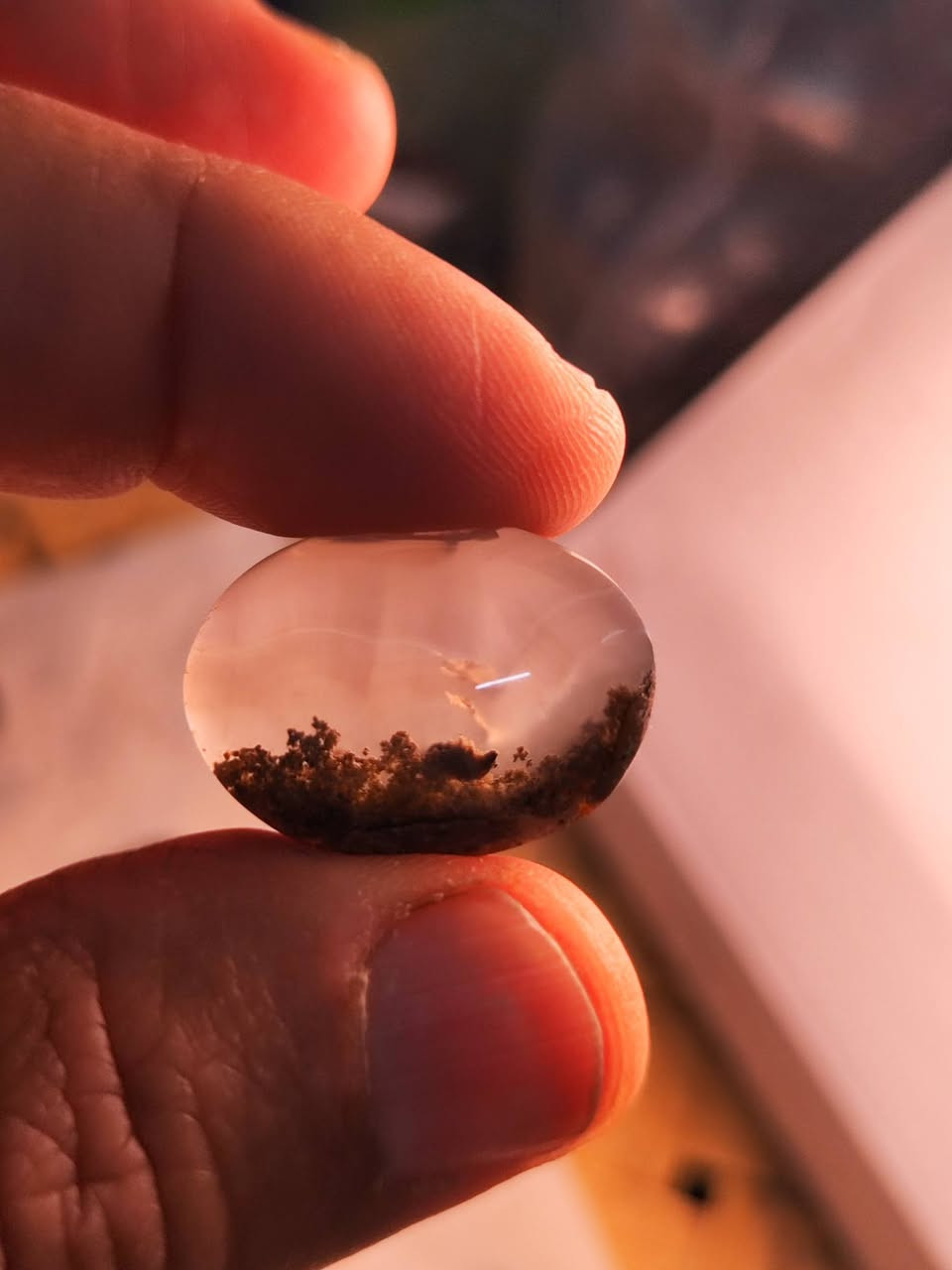 العقيق اليماني المصور سعر القطعة ٢٥ الف


**إذا كنت صاحب هذا الإعلان وتريد حذفه لأي سبب، رجاءا أرسل رسالة إلى الدعم الفني**