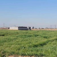 مقابيل التكسيات • ٢٠دونم • ١كم