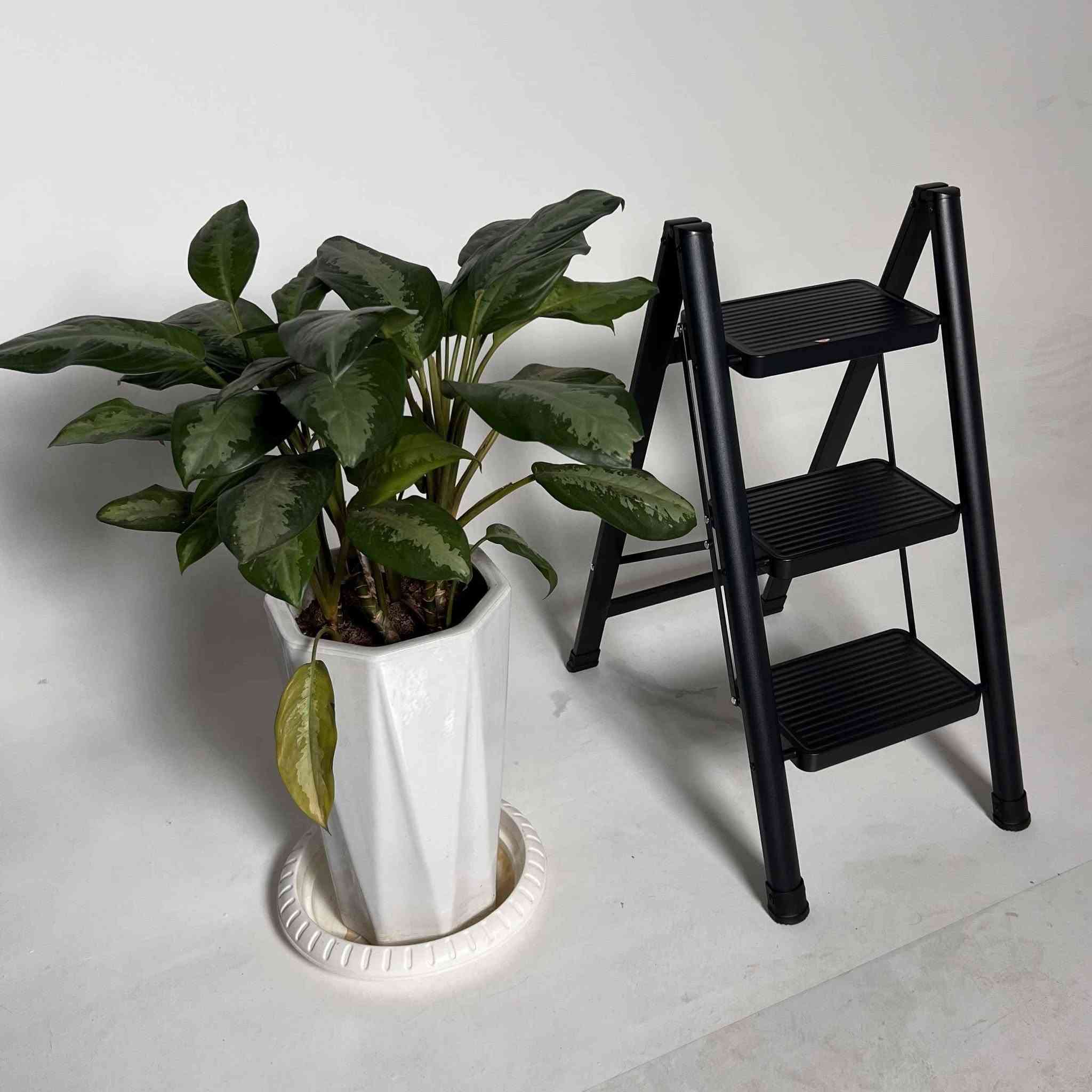 سلم معدن ثقيل لون اسود متعدد الاستخدام متوفر لدى الشهبندر هوم سلم *3 درجات يوجد خدمة توصيل لجميع المحافظات بغداد, العراق


**إذا كنت صاحب هذا الإعلان وتريد حذفه لأي سبب، رجاءا أرسل رسالة إلى الدعم الفني**