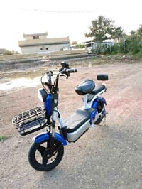 دراجة شحن • مقاس ١٤ • كلشي شغال