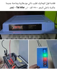 فقاسة البيض • سنغافورة • تلعفر
