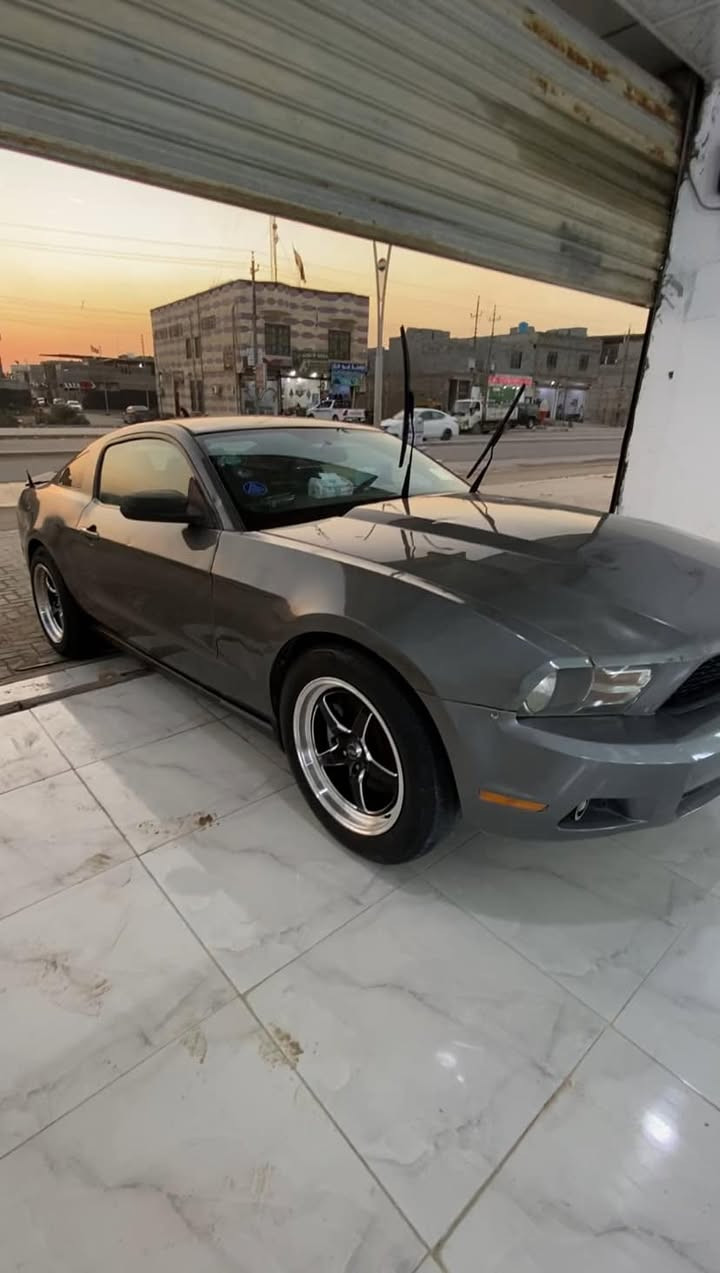 سلام عليكم موستنك v6مديل 12مصبوغه حزام كير محرك كفاله حداده جديده كامله دواخل نضيف كلش سياره جاهزه من كلشي سنويه ل 26اليف صاحبه بلبصره وياله جدد تايرات جدد سياره كلشي ع لبلاد سعر 78 اذا مراوس ب سياره اربع بيبان عادي
لاستفسار  ***********
