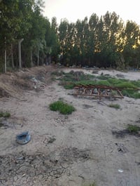 قطعة زراعية • سند ٢٥ • ٢٥٠م