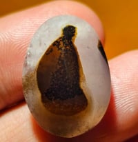 جاي من اليمن • يوصل بعد 15 يوم • مزاد عالي