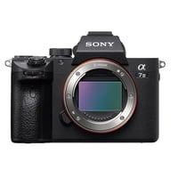 سوني A7 III • عدسة 24-70 2.8 • رونين RS4