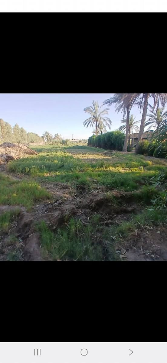 سلام عليكم ارظ زراعيه 7 دونم معه بيت معه حقل حلال تبعد عن السوق كلوين ركن عله شارع قضاء جبله حي الفرات فرع المصلخ رقم الهاتف ***********
