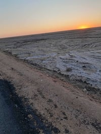 خلف ٢٢ • ٢٠٠م • طابو زراعي