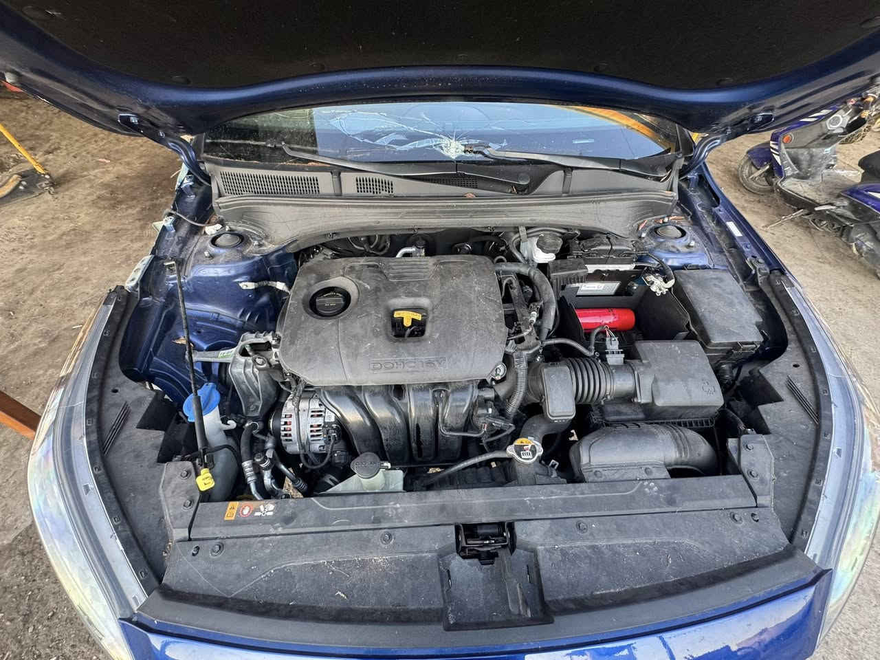 السلام عليكم تفصيخ وارد أمريكي العنوان بغداد ساحة مضفر خلف قاطع المرور مبايل *********** واتساب توصيل 🚚 جميع المحافظات اي شي تحتاجون بخدمتكم
