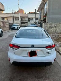 كورلا هايبرد • اس بلاك • رقم بغداد