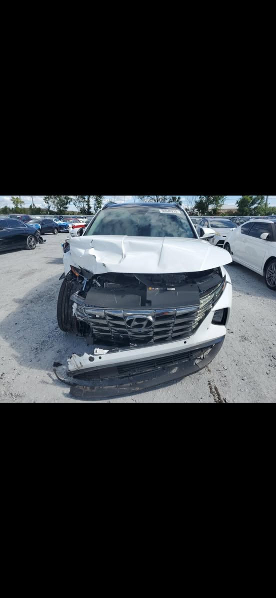 توسان هايبرد 2024 وارد لون ابيض بيه صبغ بنيد وربع جاملغ خلفي 
فول مواصفات 1/1 صنف لمتدد ماشيه 7 الاف فقط تشغيل عن بعد تحريك  تقديم ترجيع  ريموت عن بعد 
خمس كاميرات رادارات 
صور حادث السياره مرفقه مع الاعلان 

السياره باسمي  مرقمه بغداد 
موقعه بغداد حي الخضراء 

السعر 193$ نهائي السعر  رجاءا  غير قابل للتفاوض 

‭0788 684 2607‬
