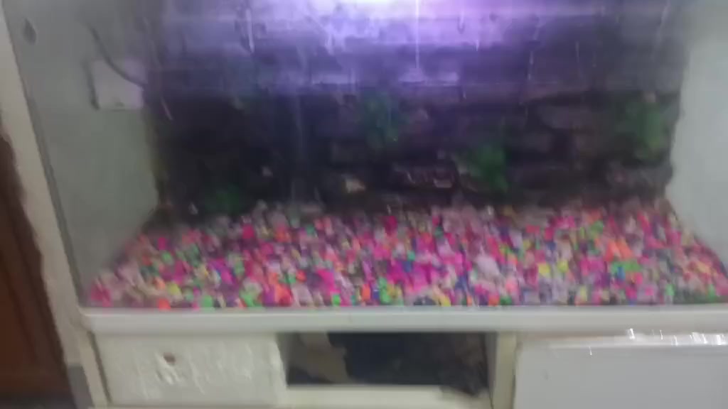 سلام عليكم حوظ سمك لبيع
مكلف بنشر


**إذا كنت صاحب هذا الإعلان وتريد حذفه لأي سبب، رجاءا أرسل رسالة إلى الدعم الفني**