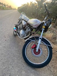 تايگر • ٢٠٢٤ • بعقوبه