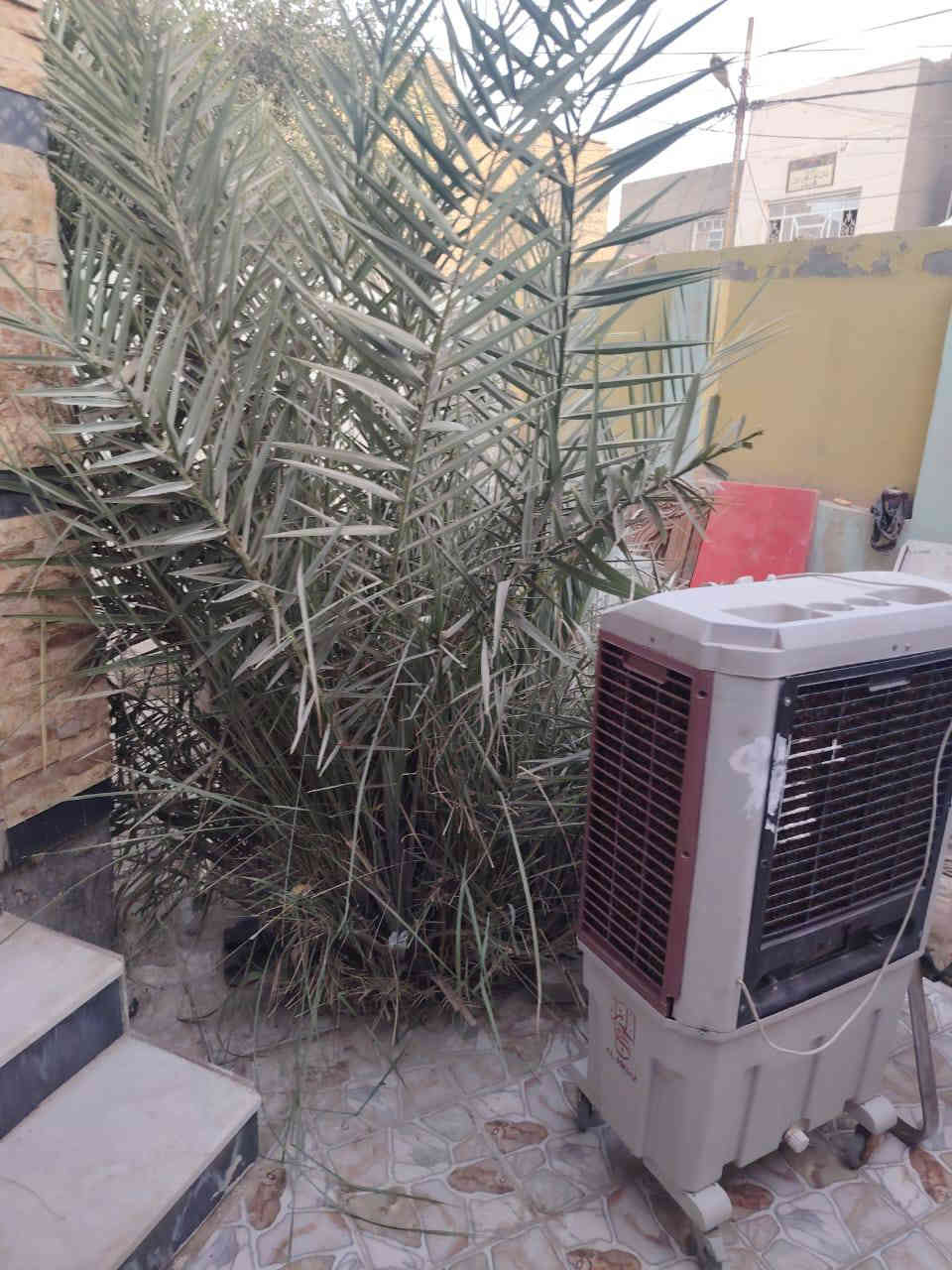 دار للايجار المساحة ٢٤٠م طابق واحد غرفتين صالة استقبال مطبخ صحيات داخلية وخارجية بدل الايجار ٥٠٠ الف الفرات بداية شارع المستوصف من جهة شارع الصب البيت حديث  للأستفسار الأتصال على الرقم
        ***********
       ***********
مكتب صدى الخليج للعقار
    أبو رواء الخليفاوي
