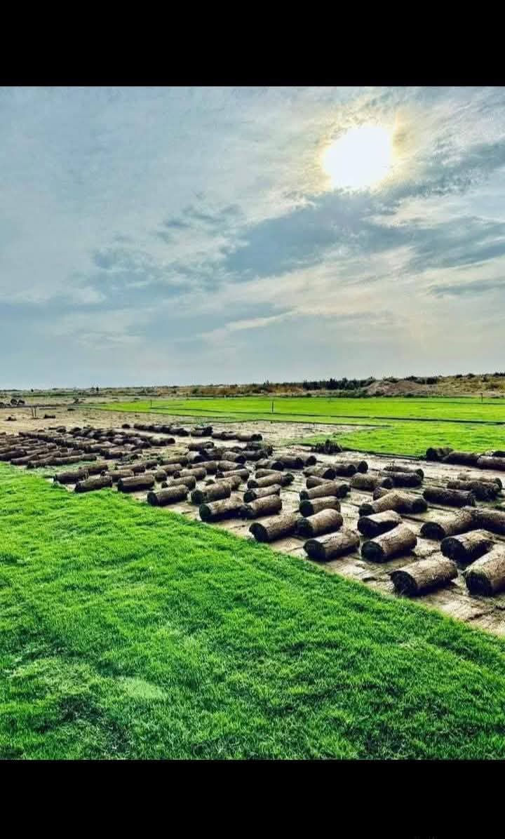 واتساب. ***********خدمت توصيل لجميع المحافظات ويوجد كادر لتجهيز الحدائق لطلب استفسار  اتصال على الرقم أو مراسلت الصفحه *********** واتساب
