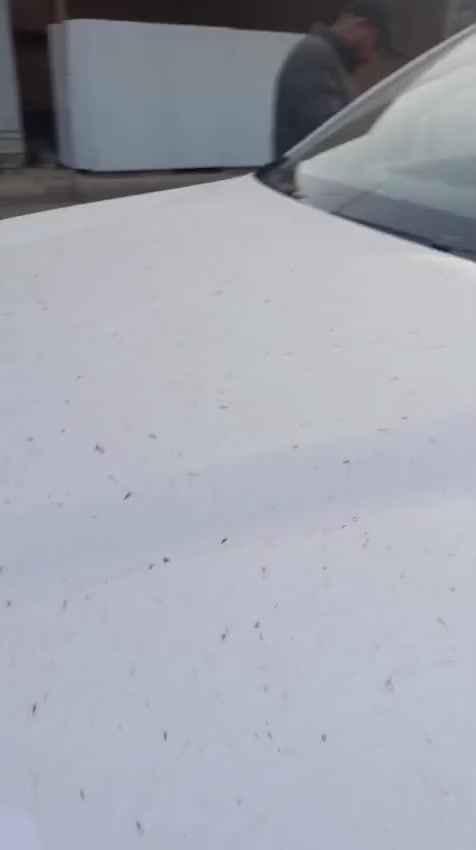 من رخصت صاحب المنشور عندي بي وادي سونغ ابرو مضروبه للبيع ***********
