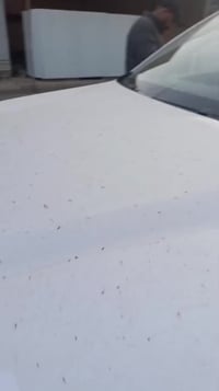 من رخصت صاحب المنشور عندي بي وادي سونغ ابرو مضروبه للبيع 07803140930