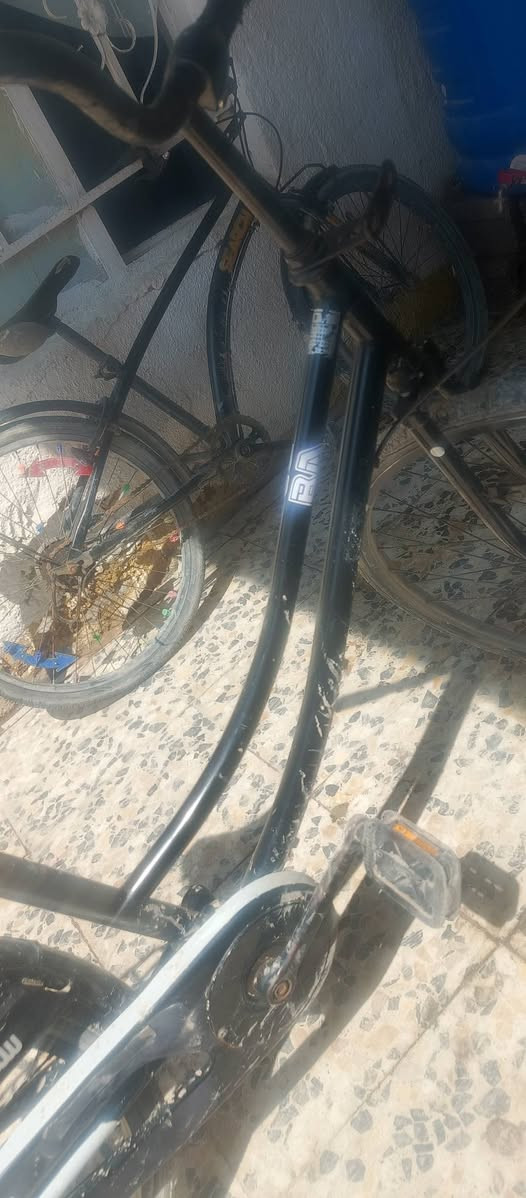 باسكل بيدي نضيف موديل 16 مكان كربلاء حي العامل يرادله غسله ورجع بلادي وموجوده غراضه وياه جاملاغات 👍🏻


**إذا كنت صاحب هذا الإعلان وتريد حذفه لأي سبب، رجاءا أرسل رسالة إلى الدعم الفني**