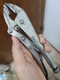 قارصة هازيت • المانية