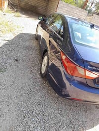 سوناته • ٢٠١٣ • وارد أمريكي