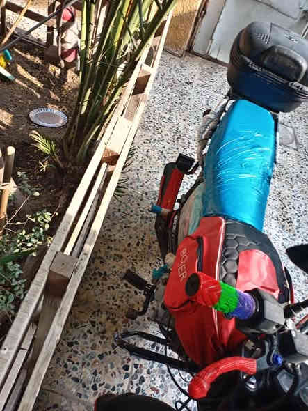 السلام عليكم اخوتي الغالين
بوكسر جبلي مديل 2022 محسوبه على 23
داجه خير من الله مكينه ناعمه سلف وكهربائيات شغالت امنت الله الدراجه حيل نضيفه 7 أوراق كامله وصل شركه المصطفى موجود كبل ترقم يعني
السعر ١٧٠٠ وبيها مجال مكاني بغداد الحسنيه
***********
