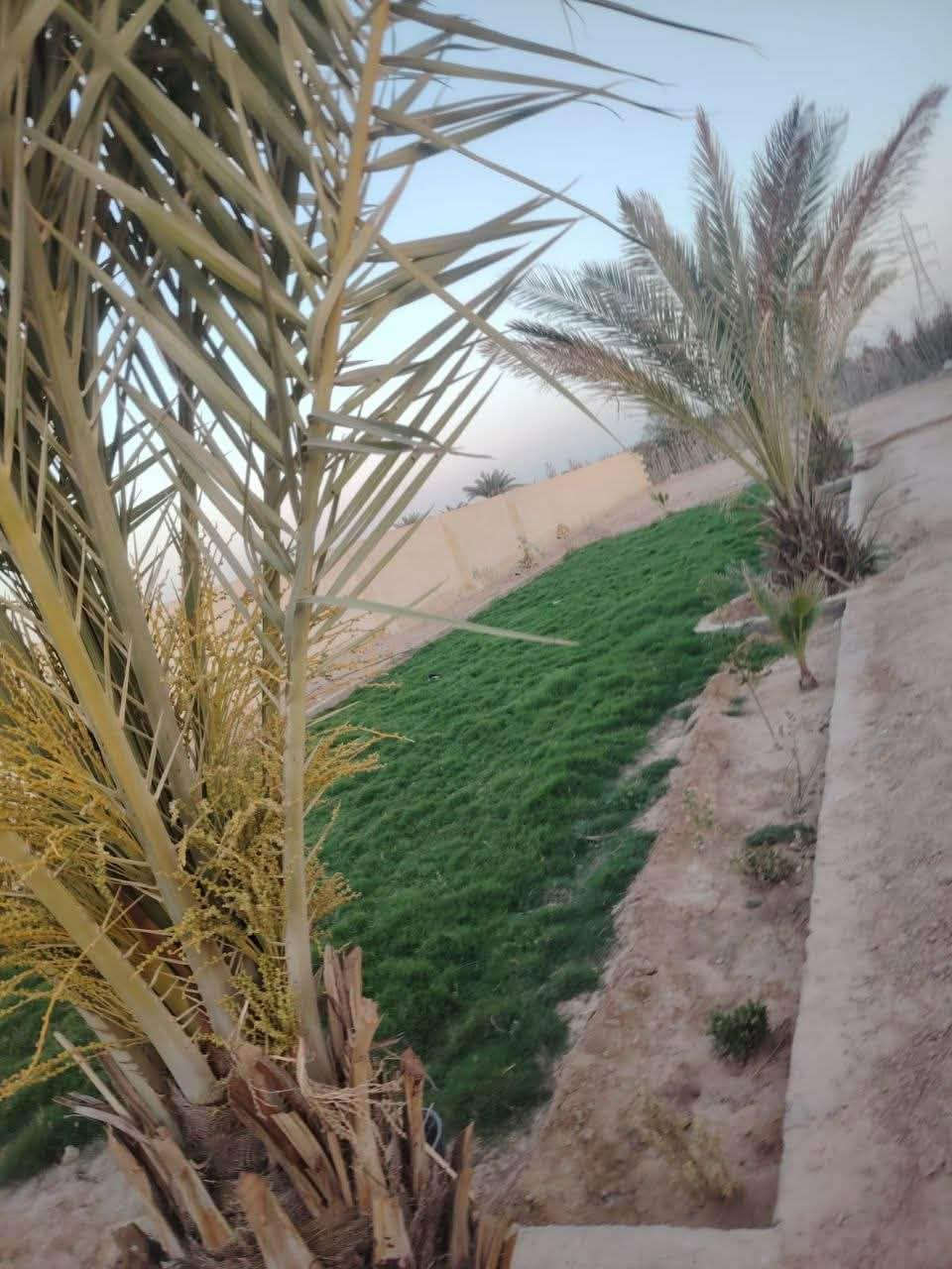 نص دونم الف متر مسيج ومرتب بي حديقه ونخل كلش حلو واجهه ١٦ نرال ٦٠ طريق ياعلي عمو ٢١٧
يبعد عن شارع ٢٠٠ او ٣٠٠ م

بيع مباشر من اهله استفسار ع رقم
اليتصل يكولهم من طرفي فضلا💕
*********** بي واتساب النجف, العراق
