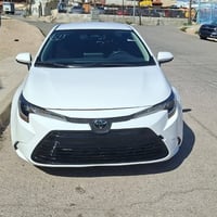 كورلا • ٢٠٢٤ • رقم شهداء بابل