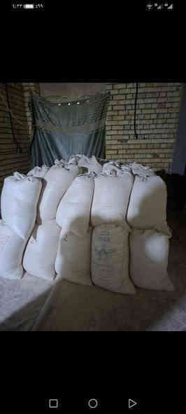 *********** جص معامل الجزيره عل فحص مال فلوجه تنزيل بكوانيه
