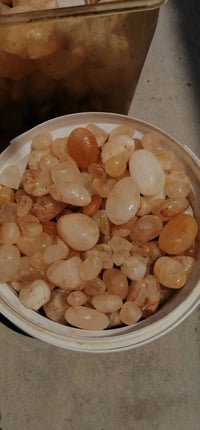 نجفي • طبيعي • ع باب الله