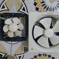 مفرغات • شغالة • شطره