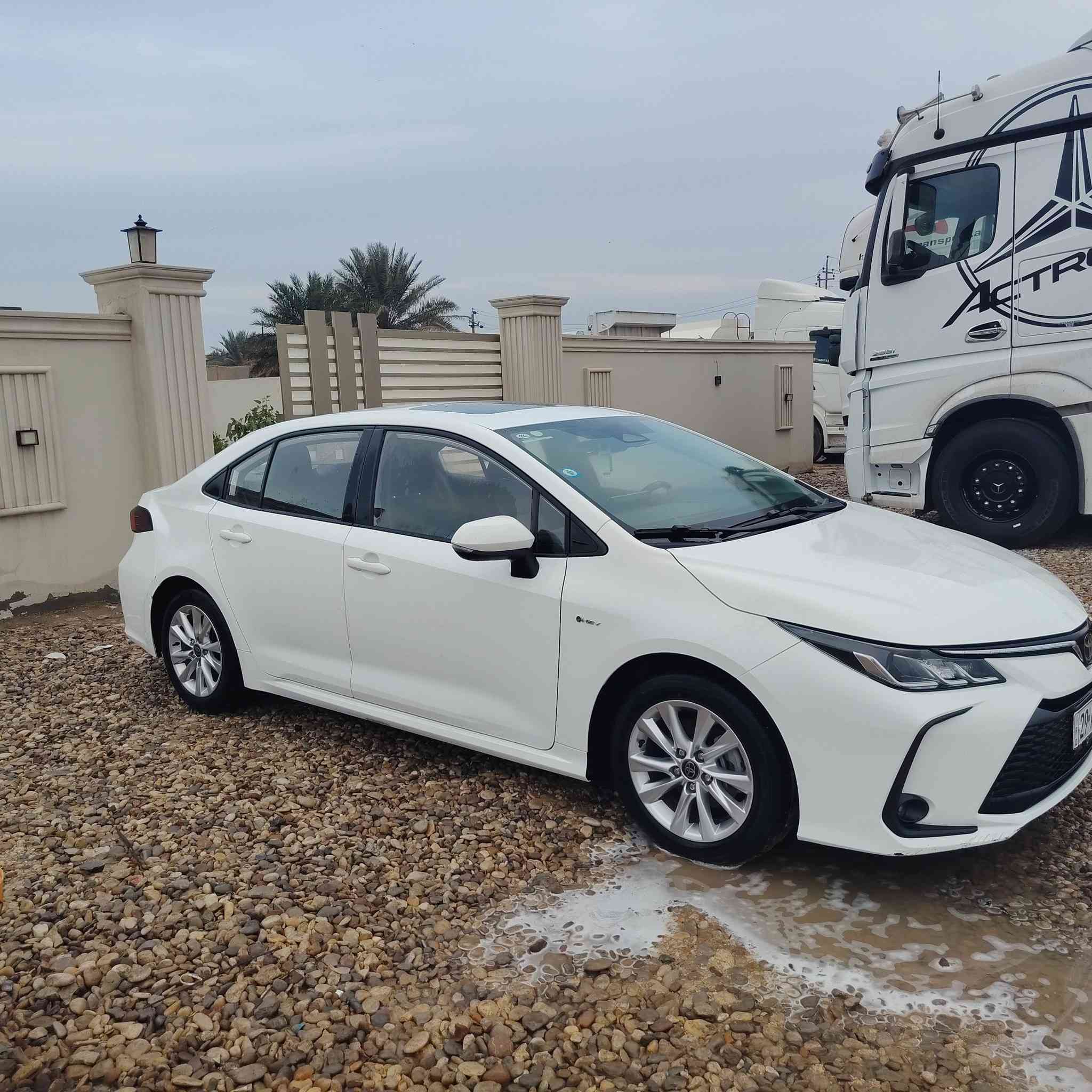 السلام عليكم
كورلا شكل الخليجي هايبرد وارد صيني 

رقم واسط

موديل 2024 
 
ماشية 40 الف فقط 

فول مواصفات 
بيها خسفه بسيطه بلجاملغ موضحه بالصور

السعر 149 وبيها مجال انشاءالله 

مكاني الكوت ***********
                  ***********
