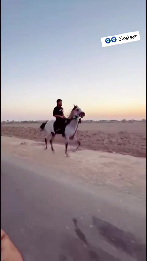 سلام عليكم خيالتنه حصان لبيع نيمان حض وبخت مال طراد اوخياله عمره ٦ رتفاعه ١٥٤ لبيع مراوس فرس حسب الاتفاق مكان ميسان تصال ***********
