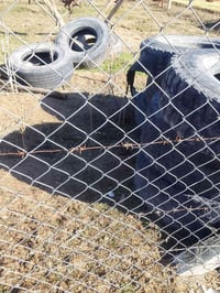 تايرات • بستان