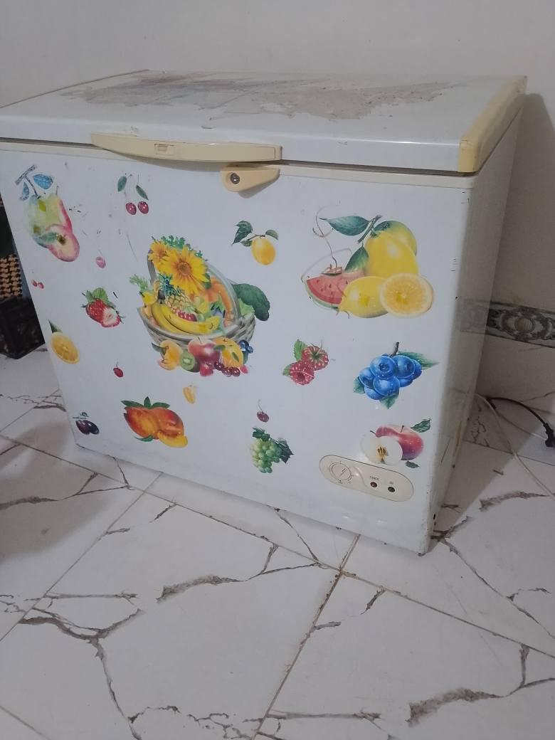 مجمده شغاله شرط حيل نظيفه يرهم مراوس بعاطل والعنده هم نشتري ‏‪***********‬‏ كركوك, العراق
