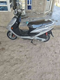 ثعلب • بوشه ٤٩ • نضيفه