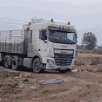 علف سيلاج • درجة اولى • واسط قضاء الحي