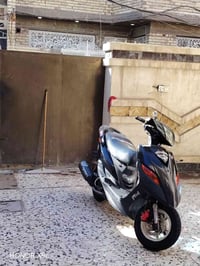 البيع او مراوس بجيتي ار او ثعلب بكاني الغزالية رقمي 07869656265