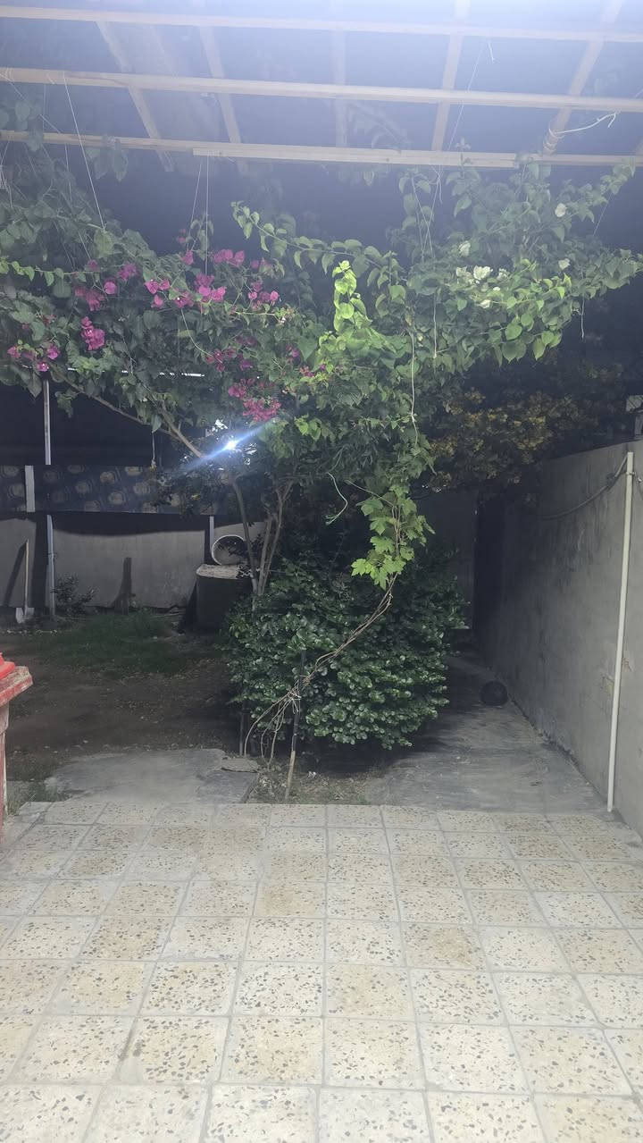 السلام عليكم للبيع بيت مساحه ٣٠٠ طابو صرف الامين مقابيل اسواق بنيه الواجه ٢٠ نزال ١٥ يحتوي على خمس غرف نوم وهول واستقبال و٤ صحيات السعر ٣٥٠ للاستفسار اكثر الاتصال مع صاحب الدار هاتف ***********
