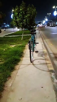 باسكل • نظيفة • كربلاء