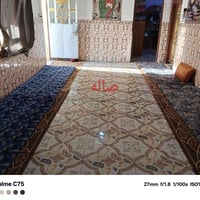 طابو زراعي • ٢٥٠م • غرفتين
