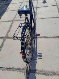 باسكل • محمودية • للبيع