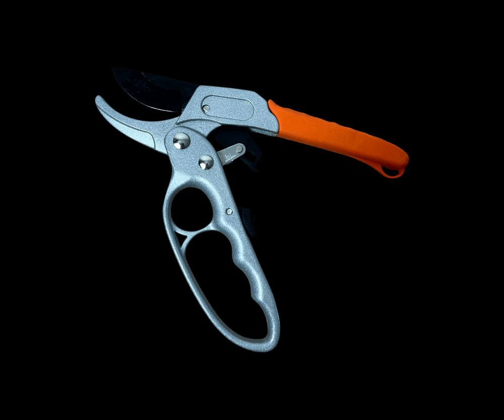 ✨ مقص تقليم الأشجار المثالي لحديقتك! ✂️

🔧 حواف حادة لقص دقيق وسهل لجميع أنواع الأشجار.

🌳 مع مقبض مريح ضد الانزلاق لراحة أكبر أثناء الاستخدام.

💪 قوي وفعال لقص الأغصان والأوراق الجافة في ثوانٍ!

🏡 مثالي للحدائق المنزلية والمحترفة.

🌿 حافظ على نباتاتك بأفضل شكل مع هذا المقص الفعّال.

🌟 لا تفوت الفرصة، احصل عليه الآن لتجربة أفضل في الحديقة! بغداد, العراق


**إذا كنت صاحب هذا الإعلان وتريد حذفه لأي سبب، رجاءا أرسل رسالة إلى الدعم الفني**