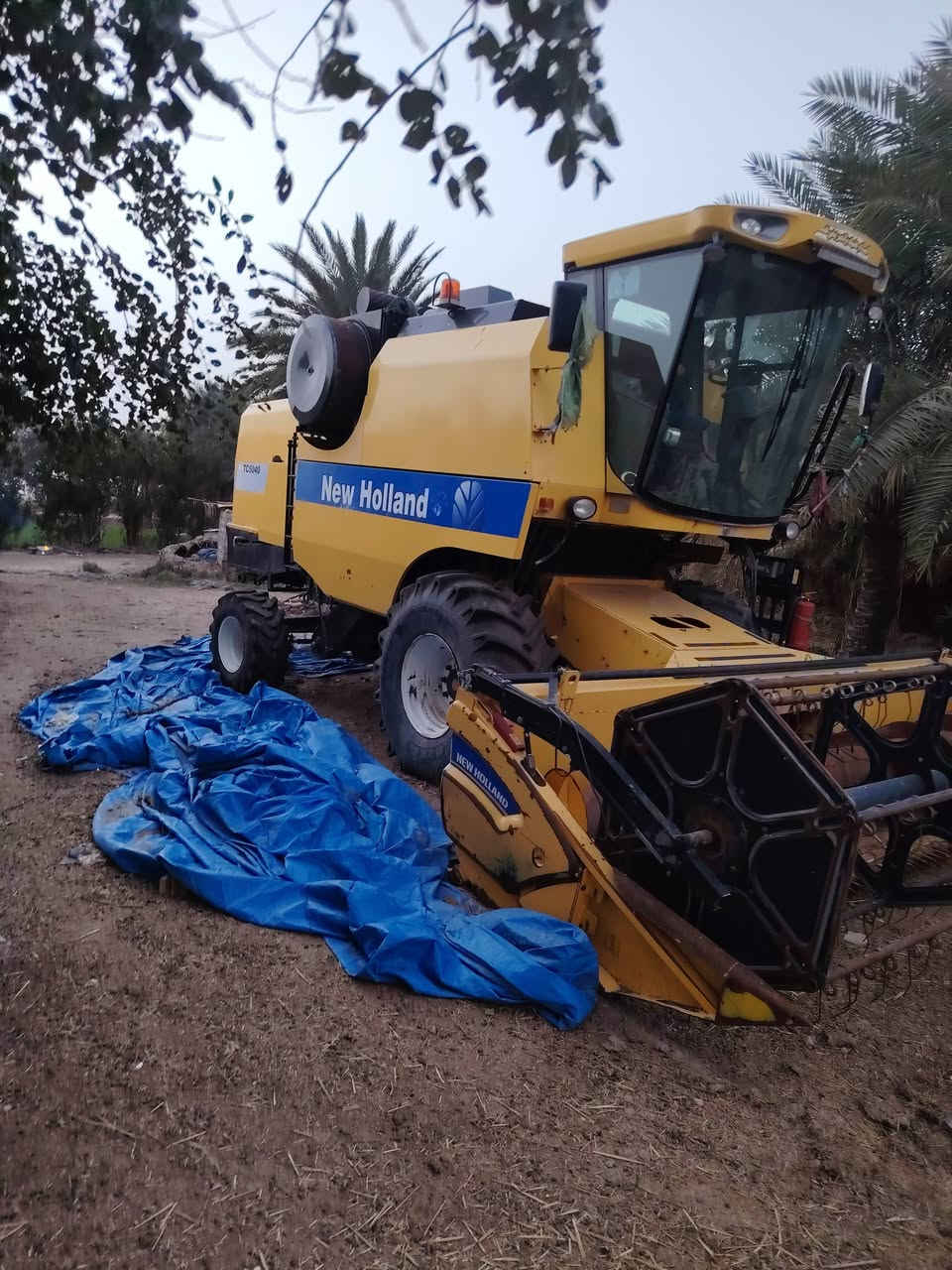 حاصوده للبيع 2017 الا تصال ***********
