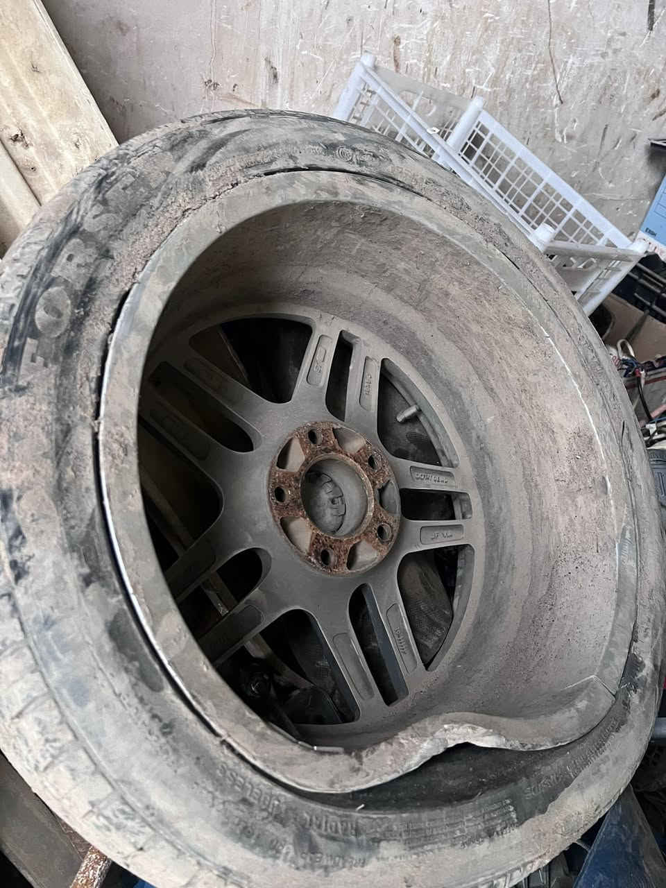 ٤ وياله M ثنين. مبين طعجهن بل تصوير ضربت نگره ونطعجن ويصلحن ثنين مابيهن شي ابدل  ويه خليه مكاني الگوير مخمور ***********
